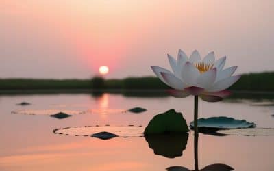 Why Feeling Safe Helps Your Brain Learn, Change and Grow